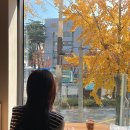 쥬씨뷰티 이미지