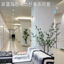 로열프린세스산후조리원 네이버블로그