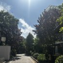 객리장 | 리장 숙소 어디 묵을지 고민이라면 이 글 꼭 보세요 (5성급 호텔 가성비+위치+옥룡설산 뷰 끝판왕...