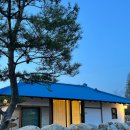 스테이담장 이미지