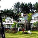 밀레니엄빌 이미지