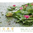 신   촌 이미지