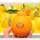 명품농장 이미지