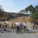 신암면025 이미지