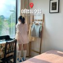 내돈내산 이퓨니드 지안핏 압박스타킹 솔직후기(센시아 압박스타킹 비교)