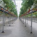 안정농장 이미지