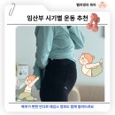 12주 요가 클래스 | 임산부 시기별 운동 및 복부 편한 안다르 레깅스 추천