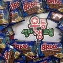 셀파미장초교실