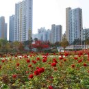 한강신도시호수공원 이미지