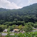 서운산캠핑장 이미지