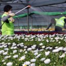 백양산 양묘장 이미지