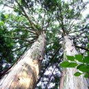 가학산휴양림 1 이미지