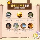 남가목장 | 레츠비트립 베트남 나트랑 핀랑 사막투어 | 선라이즈 일정 후기 지프차 가격 드론 인생샷 꿀팁