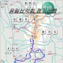 유림-10 이미지