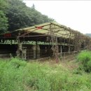 상오축사 이미지