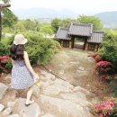 금헌힐링캠핑장 이미지