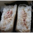 다운참치 이미지