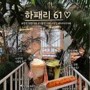 61 | [양주]데이트 코스로 좋은 식물원 감성 '하패리 61', 양주대형카페 추천🌿