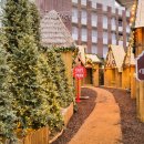 라테라스 이미지