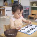 밤비니 몬테소리 이미지