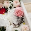 산수로L | 포포즈 경기 광주점 이용 후기