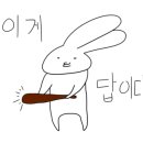 더다인헤어 이미지