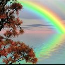 자연향기 이미지