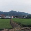 관성1리 이미지