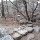 대관령솔내음오토캠핑장 이미지