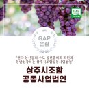 상주시조합공동사업법인