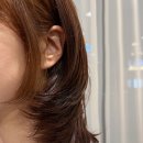 별빛살롱 - 제주시 신설로9길 20 | 별빛살롱