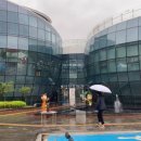 산삼주제관 이미지