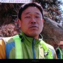 울돌목 숭어