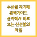 온라인판매자 협동조합 | 수산물 직거래 완벽가이드 산지에서 바로 오는 신선함의 비밀
