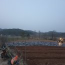 신구농장 이미지