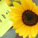 메밀꽃마을 이미지