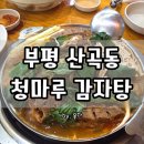 청마루감자탕 | 부평 산곡동 맛집 :: 청마루감자탕 솔직후기