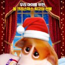 프린스펫 이미지