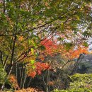 무등산샤브 이미지