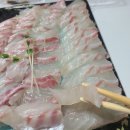 신지수산 이미지