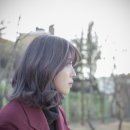 팔도미용실 네이버블로그