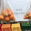이호농원