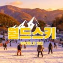 시범사우나 | 엘리시안강촌 사우나 스키장까지 이용했어요