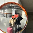 OZ CAR | 여행 6박 7일 DAY1 | 인천-이스탄불 아시아나항공 OZ551 | 이스탄불-카이세리 터키항공 TK2018...