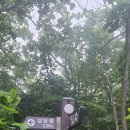 굴다리 이미지