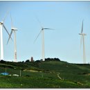 매봉산 바람의언덕 이미지