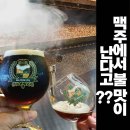트레비브로이주