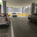 하울라스틱 이미지