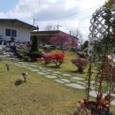 송산4리 이미지