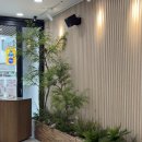 책나무미 카페 열람실 | 은평구 무료 독서,작업 공간 추천 | 구립응암도서관 재개관 방문후기